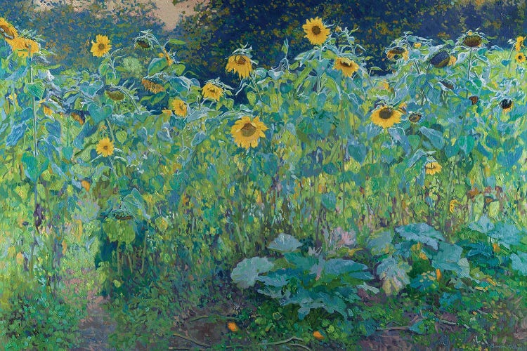 Sunflowers In Kolomenskoye by Simon Kozhin wall art