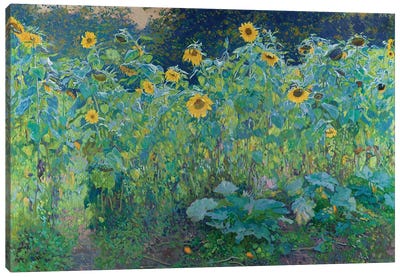Sunflowers In Kolomenskoye Canvas Art Print - Moscow Art