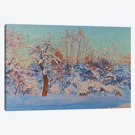 Winter Sun In Kolomenskoe Canvas Print #SKZ229} by Simon Kozhin Canvas Artwork