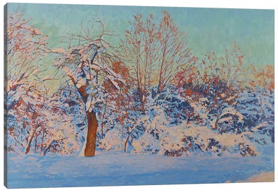 Winter Sun In Kolomenskoe Canvas Art Print - Simon Kozhin