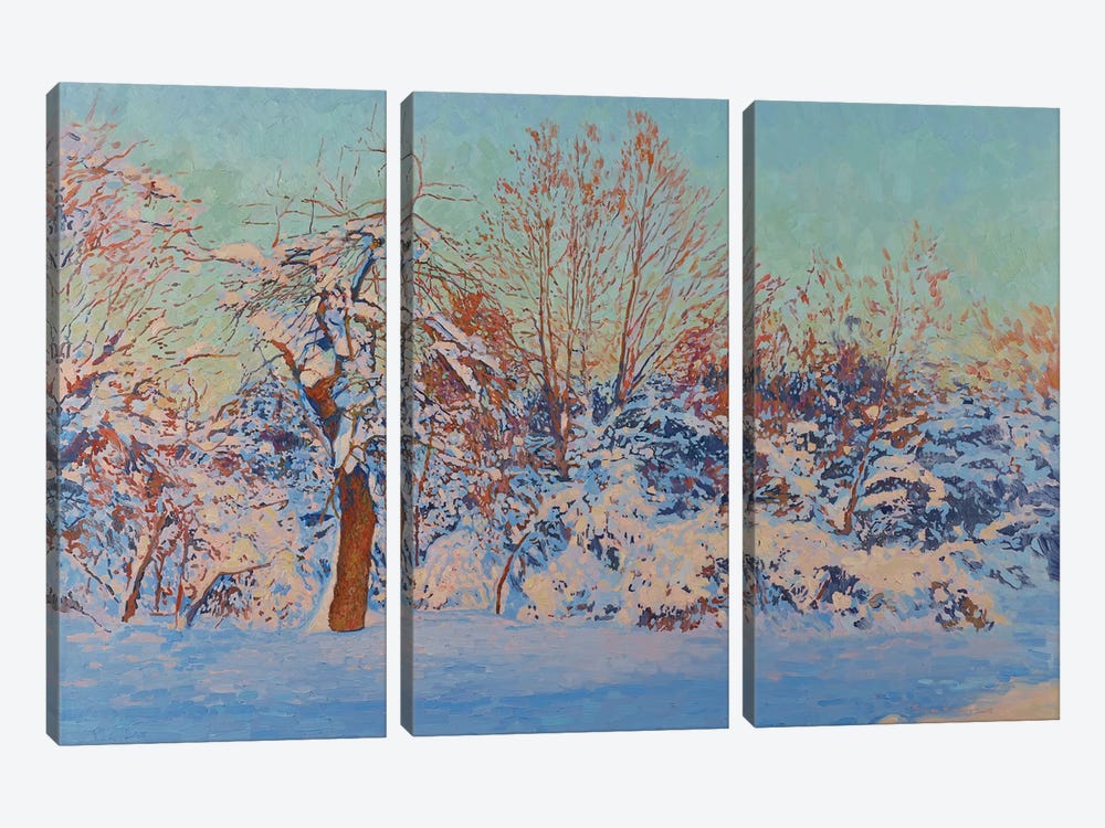 Winter Sun In Kolomenskoe 3-piece Canvas Art