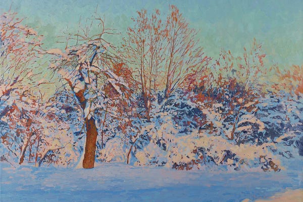 Winter Sun In Kolomenskoe