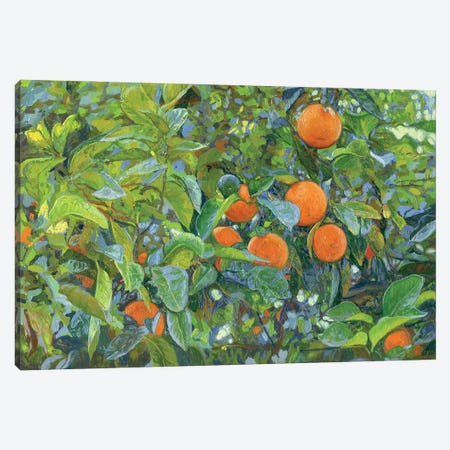Oranges Canvas Print #SKZ231} by Simon Kozhin Art Print