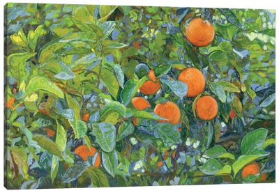 Oranges Canvas Art Print - Simon Kozhin