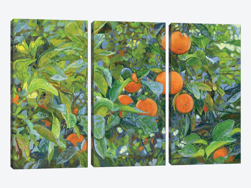Oranges by Simon Kozhin 3-piece Art Print