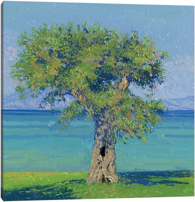 Olive Tree On The Coast Of Dasia Canvas Art Print - Olive Tree Art