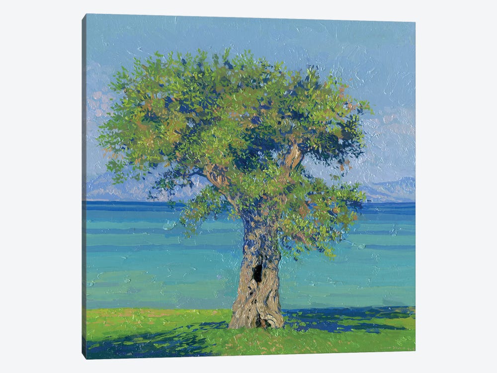 Olive Tree On The Coast Of Dasia by Simon Kozhin 1-piece Canvas Artwork