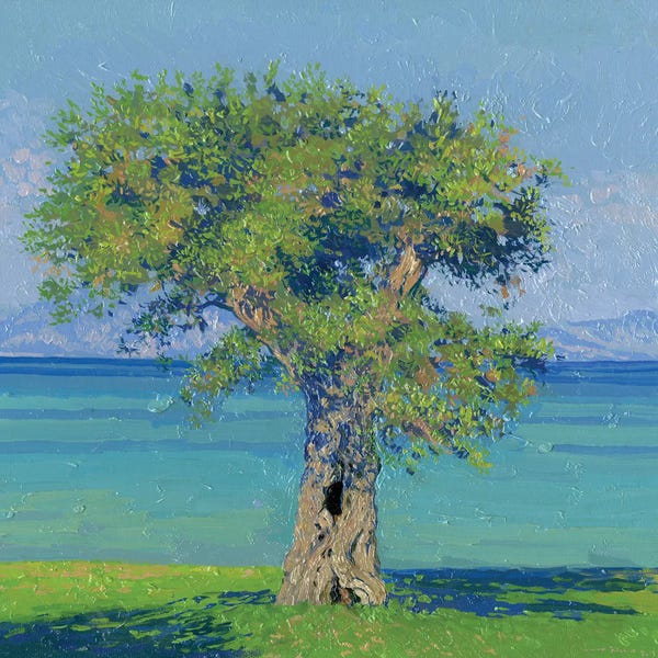 Olive Trees: Olive Tree On The Coast Of Dasia by Simon Kozhin