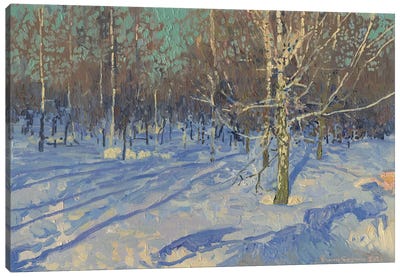 Sound March Birches Canvas Art Print - Simon Kozhin