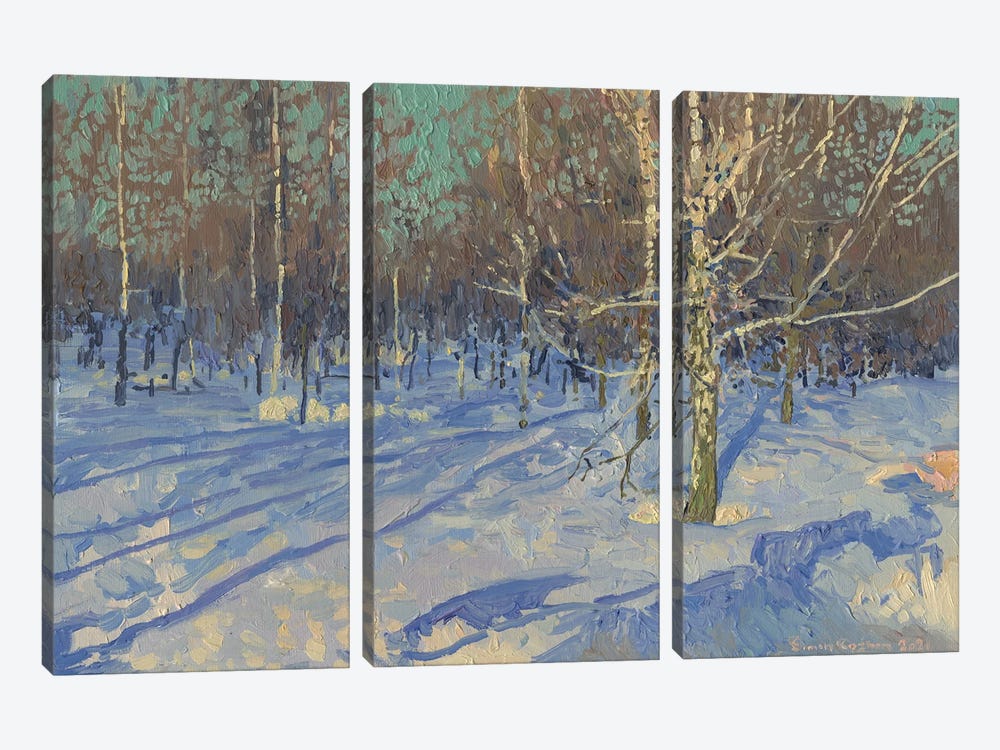 Sound March Birches by Simon Kozhin 3-piece Canvas Print