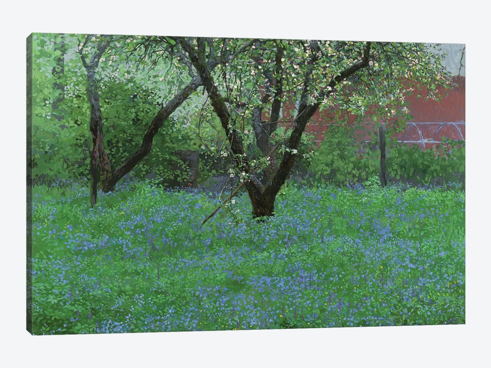 Forget-Me-Not Flowers by Simon Kozhin 1-piece Canvas Print
