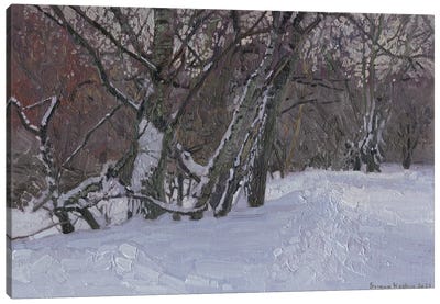 February. Alley In Tsaritsyno Park Canvas Art Print - Simon Kozhin