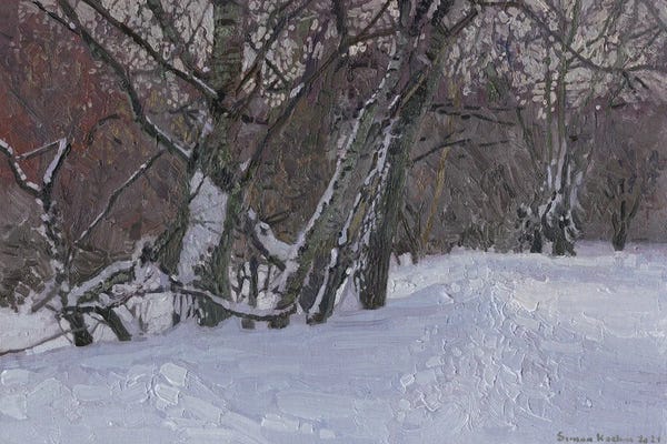 Snow: February. Alley In Tsaritsyno Park by Simon Kozhin