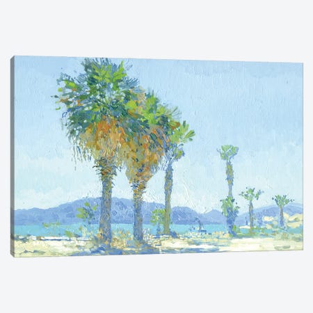 Palm Trees On The Beach Of Marmaris Canvas Print #SKZ254} by Simon Kozhin Canvas Art
