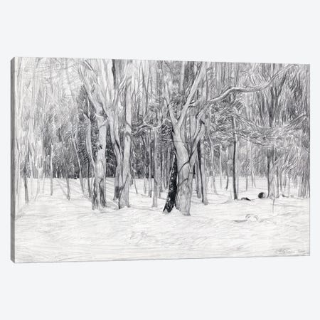 Winter Day Monochrome Canvas Print #SKZ263} by Simon Kozhin Canvas Artwork