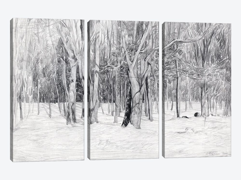 Winter Day Monochrome by Simon Kozhin 3-piece Canvas Artwork