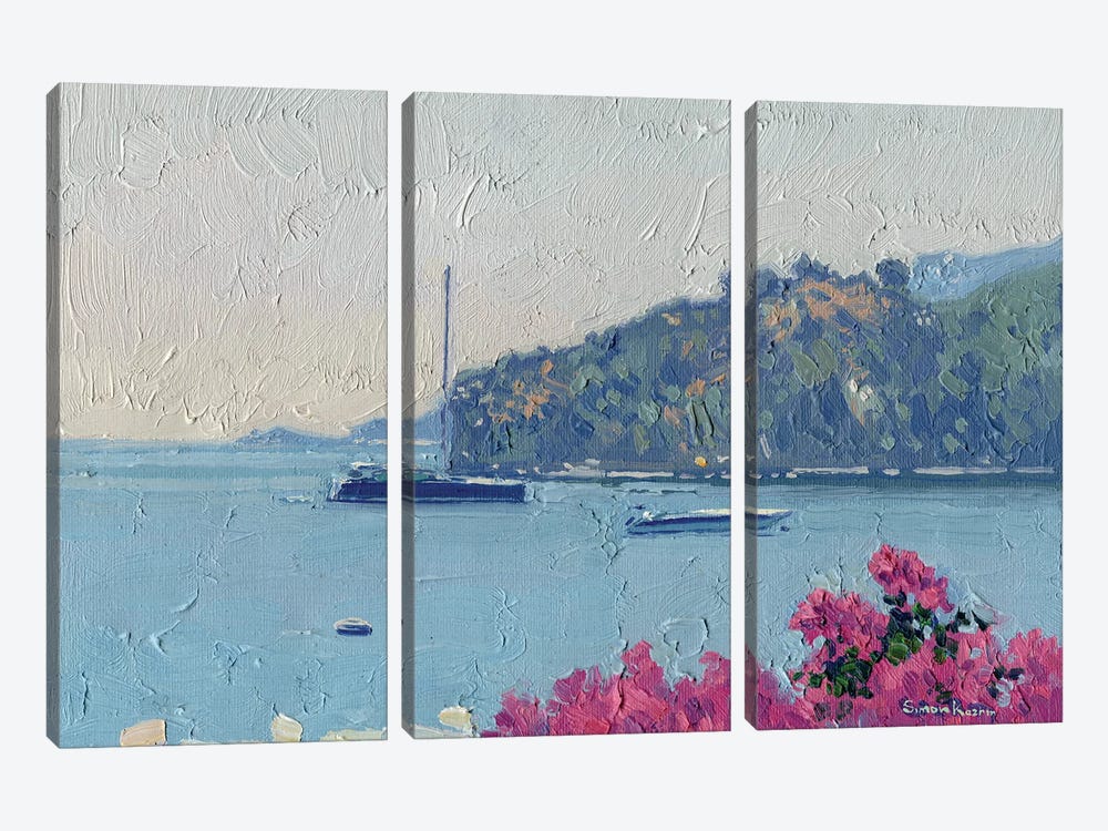 Bougainvillea And Yachts At Noon by Simon Kozhin 3-piece Canvas Wall Art