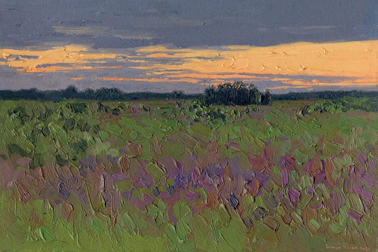 Sunset Near The Road Near Torzhok