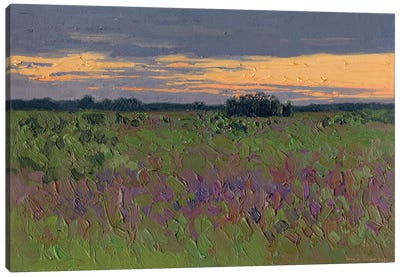 Sunset Near The Road Near Torzhok Canvas Art Print - Russia Art