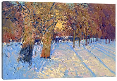 Frost And Sun Canvas Art Print - Ombres et Lumières
