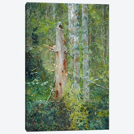 Dead Tree Canvas Print #SKZ289} by Simon Kozhin Canvas Artwork