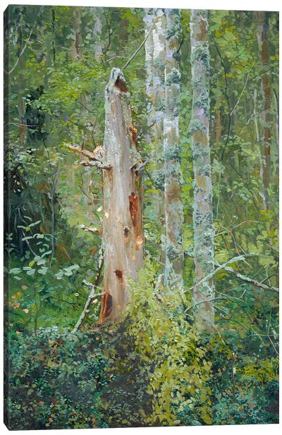 Dead Tree Canvas Art Print - Simon Kozhin