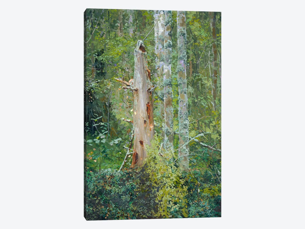 Dead Tree by Simon Kozhin 1-piece Canvas Artwork
