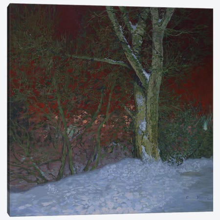 Winter Night Canvas Print #SKZ291} by Simon Kozhin Canvas Print
