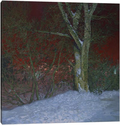 Winter Night Canvas Art Print - Simon Kozhin