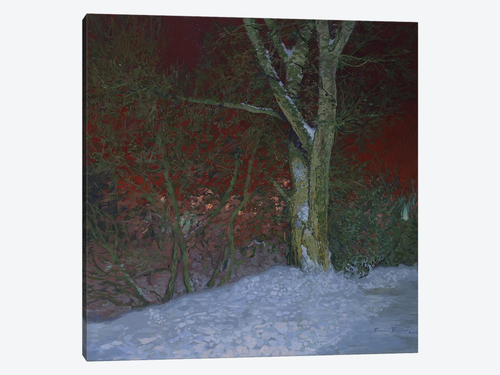 Winter Night by Simon Kozhin 1-piece Art Print
