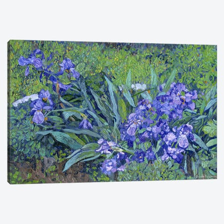 Irises Canvas Print #SKZ297} by Simon Kozhin Canvas Art
