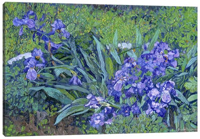 Irises Canvas Art Print - Simon Kozhin