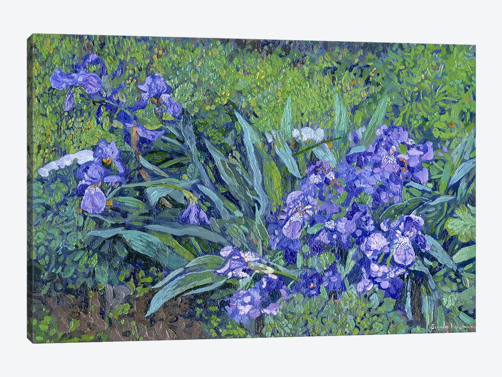 Irises by Simon Kozhin 1-piece Canvas Print