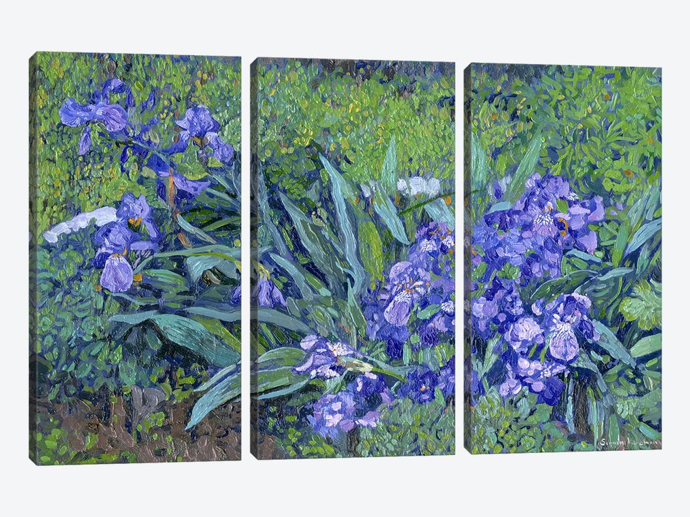 Irises by Simon Kozhin 3-piece Art Print