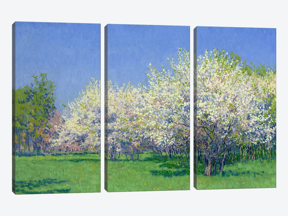The Cherry Orchard by Simon Kozhin 3-piece Canvas Art Print