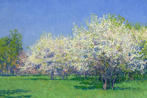 Cherry Trees: The Cherry Orchard by Simon Kozhin