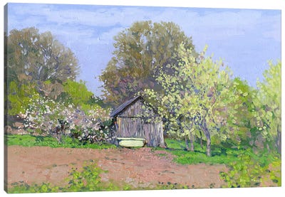 Blooming Cherries In The Klykovo Garden Canvas Art Print - Russia Art