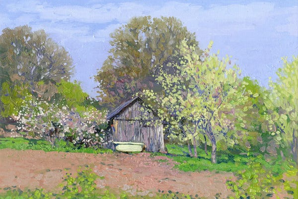 Barns: Blooming Cherries In The Klykovo Garden by Simon Kozhin