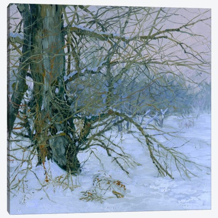 Winter's Poplar Canvas Print #SKZ303} by Simon Kozhin Canvas Print