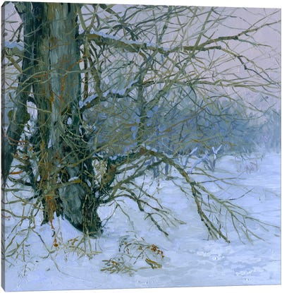 Winter's Poplar Canvas Art Print - Snow Art