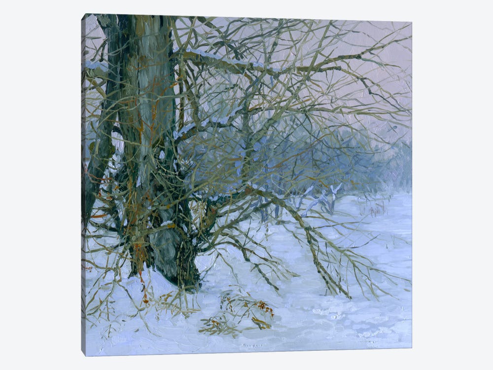 Winter's Poplar by Simon Kozhin 1-piece Canvas Art Print