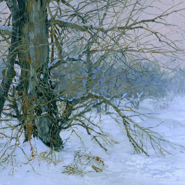 Poplar Trees: Winter's Poplar by Simon Kozhin