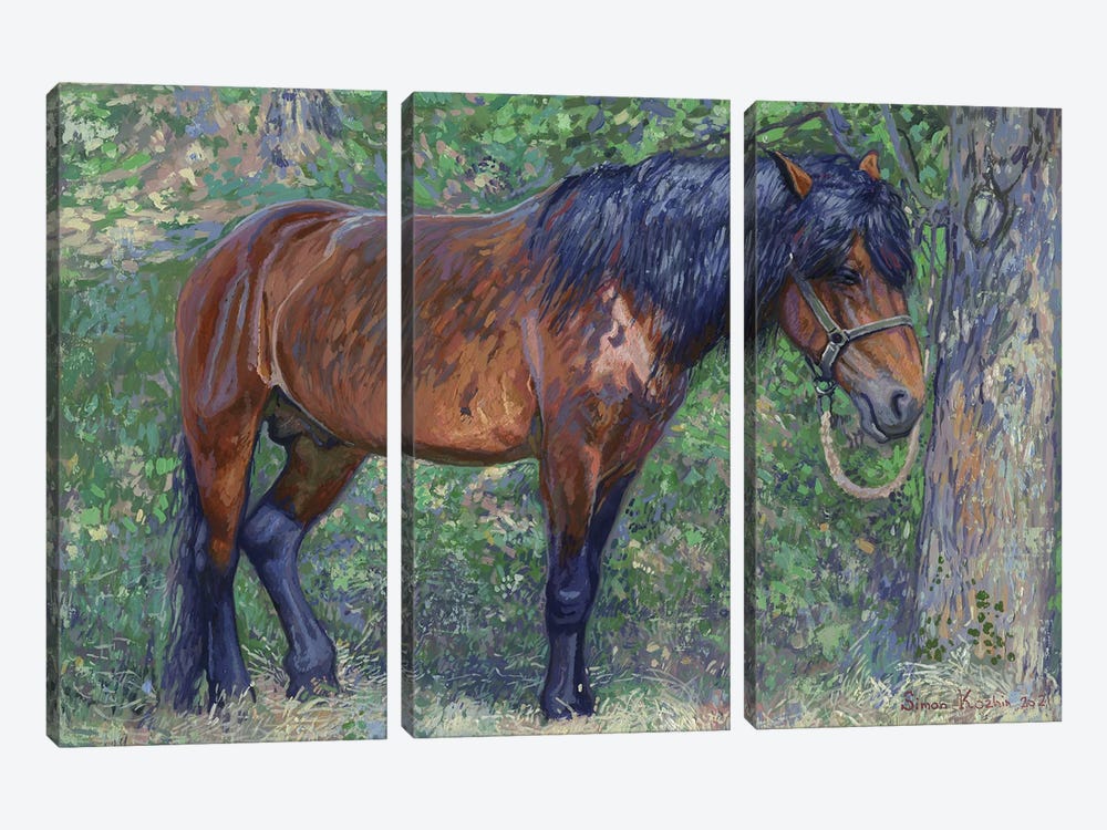 Horse In The Shade Of Trees by Simon Kozhin 3-piece Canvas Art