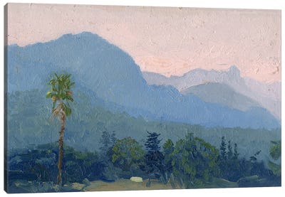 Pink Sunset. Kemer Canvas Art Print - Jungles