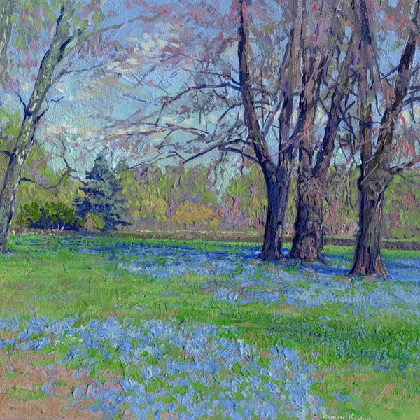 Simon Kozhin: Scilla Of Lucilia In Botanical Garden by Simon Kozhin
