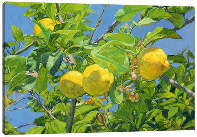 Lemons Canvas Art Print - La Dolce Vita