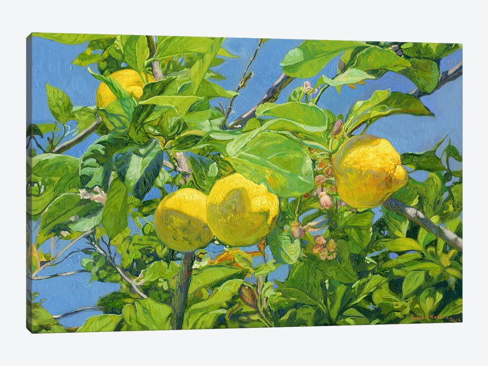 Lemons by Simon Kozhin 1-piece Art Print