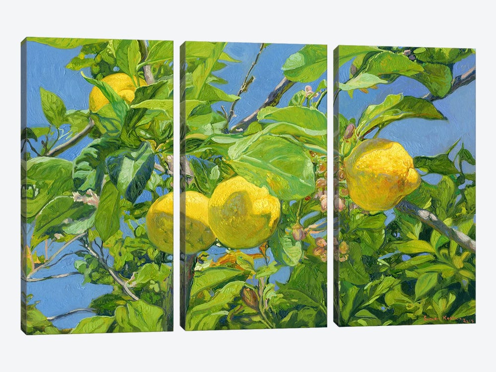 Lemons by Simon Kozhin 3-piece Canvas Print