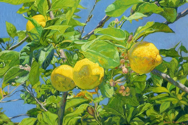 La Dolce Vita: Lemons by Simon Kozhin