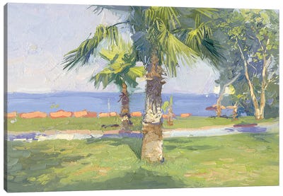 Lycian Palms Canvas Art Print - Simon Kozhin